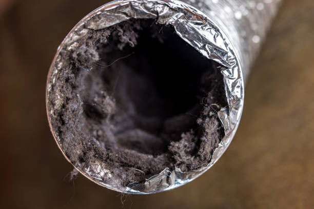 Best Residential Air Duct Cleaning  in Alto, GA