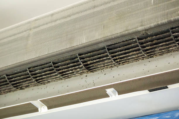 Best HVAC Duct Inspection Services  in Alto, GA