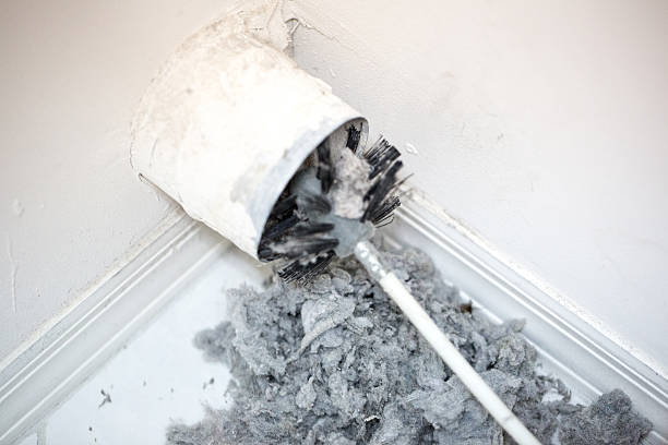 Best Air Duct Cleaning Near Me  in Alto, GA