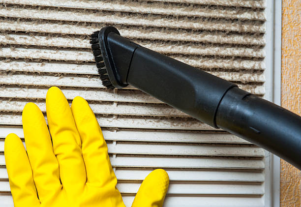 Best Local Air Duct Cleaning Services  in Alto, GA